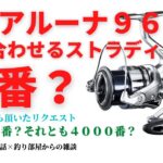 【シーバスタックル】ディアルーナ９６MLに合わせるストラディックは何番？・釣り部屋からの雑談・四方山話６２