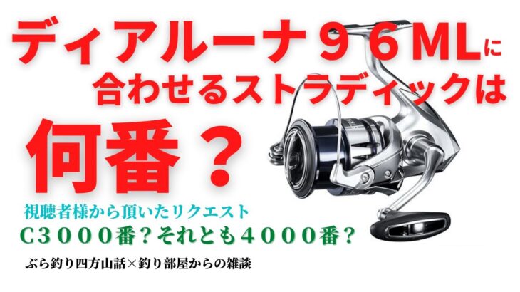 【シーバスタックル】ディアルーナ９６MLに合わせるストラディックは何番？・釣り部屋からの雑談・四方山話６２