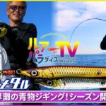 【ジギング】玄界灘で青物！ネコメタル＆NEWネコシャフト登場！【ルアパラTV】