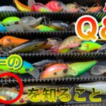 【バス釣りQ＆A】ハードルアーでもっと釣るために、知っておいた方が良い基礎とは？【水の旅＃ １７９】