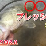 【バス釣りQ＆A】このご時世、プレッシャーがかかってないバスはいるのか？【水の旅＃ １８１】