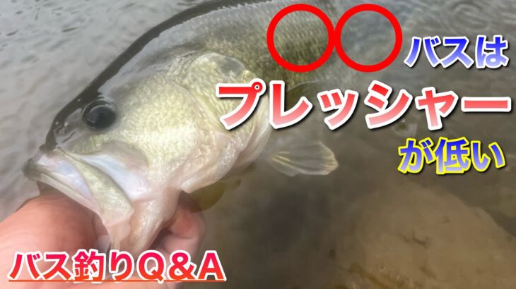 【バス釣りQ＆A】このご時世、プレッシャーがかかってないバスはいるのか？【水の旅＃ １８１】