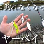 【冬】釣れなくなって困った方へ。低水温期にも効くスピナーベイトゲーム！ シマノ ジャッカル メタニウム 『RAID JAPAN』レイドジャパン　レベルスピン 動き アクション 使い方『バス釣り』