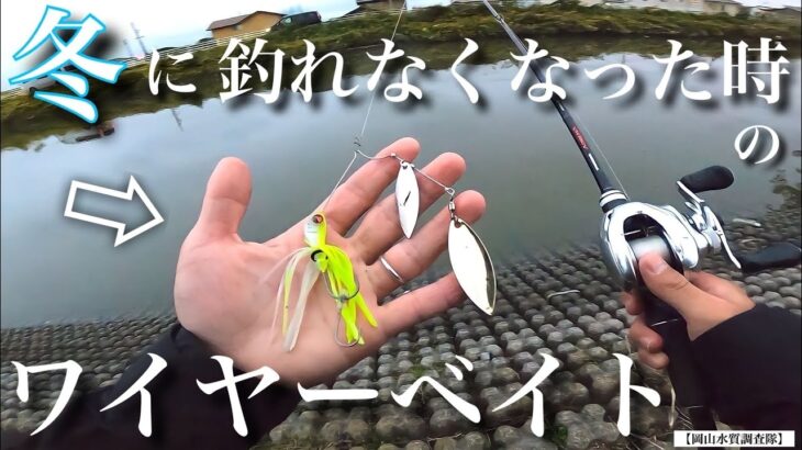 【冬】釣れなくなって困った方へ。低水温期にも効くスピナーベイトゲーム！ シマノ ジャッカル メタニウム 『RAID JAPAN』レイドジャパン　レベルスピン 動き アクション 使い方『バス釣り』