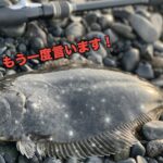 こんな方法で！？T釣行紀第三話『簡単にヒラメは釣れる』