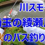 東京ルアー釣り、綾瀬川 晩秋編 ブラックバス 埼玉県草加市 (Tokyo Lure Fishing, Bass, 小口黑鱸)