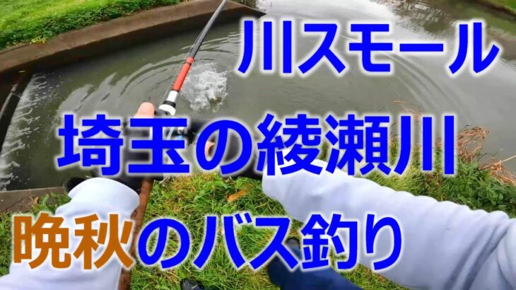 東京ルアー釣り、綾瀬川 晩秋編 ブラックバス 埼玉県草加市 (Tokyo Lure Fishing, Bass, 小口黑鱸)