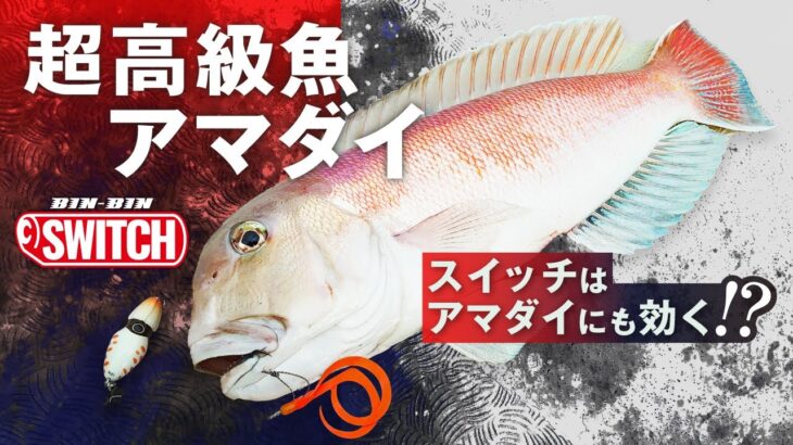 【ビンビンスイッチ】で高級魚アマダイを狙う！！｜USHIO船　杉山代悟　石川文菜