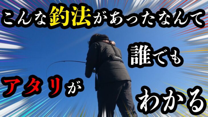 エギング【この釣法でとれないアタリは無い！！初心者がとれない烏賊のアタリがとれるようになり人が投げた後でも釣ることができました】VOL.2 2022 12月 エギング