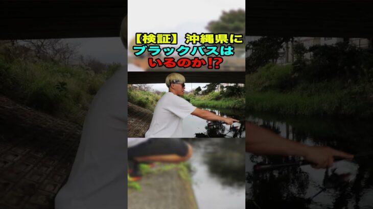 【YouTube10万再生!!】沖縄県にブラックバスはいるのか！？　フルバージョンは本編で！#釣り #バス釣り #shokurosfishing