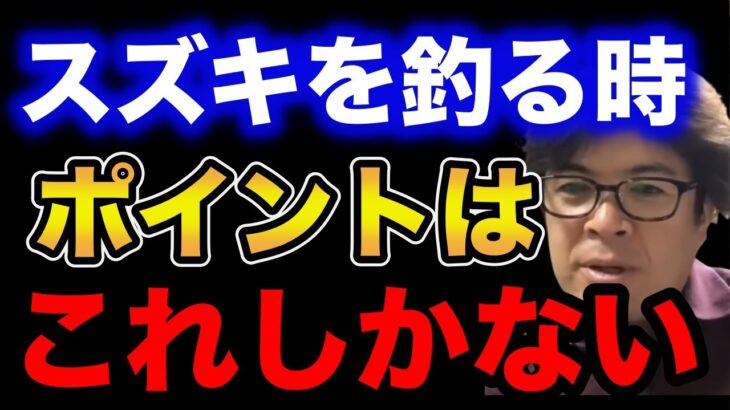 【村岡昌憲】スズキ(シーバス)を釣る時のポイントはこれしかない。【fishing 釣り 村岡昌憲 切り抜き ルアー釣り シーバス ノット リール】