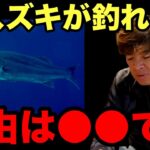 【村岡昌憲】スズキ(シーバス)が釣れない理由は●●です…【fishing 釣り 村岡昌憲 切り抜き ルアー釣り シーバス ノット リール】