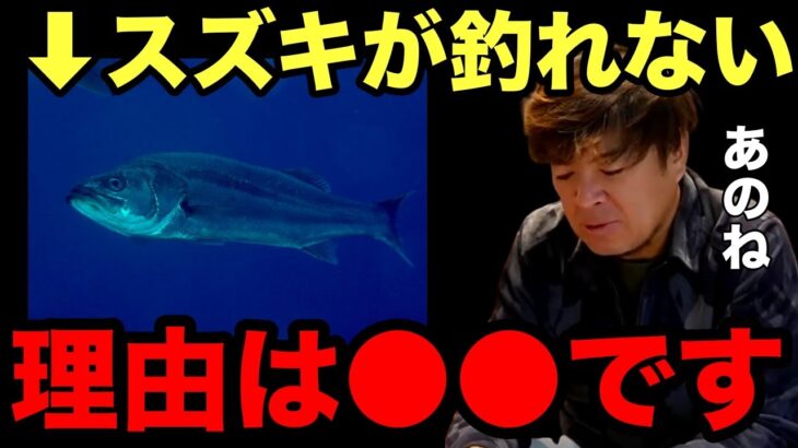 【村岡昌憲】スズキ(シーバス)が釣れない理由は●●です…【fishing 釣り 村岡昌憲 切り抜き ルアー釣り シーバス ノット リール】