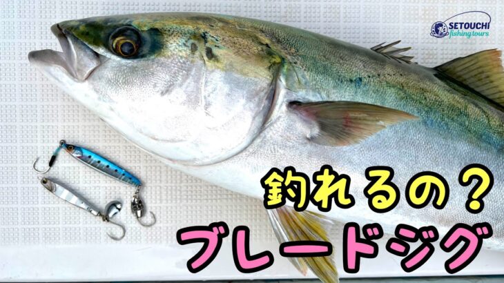 【ジギング】今流行りの釣り“ブレードジギング”をやってみた‼︎ in 岡山県宇野港発 瀬戸内海【青物】