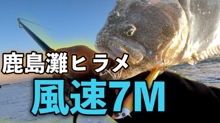 風速７mの爆風の中でヒラメ釣り【茨城県鹿島灘遠征後編】【1%のソーシャルグッド5500匹のヒラメの稚魚を放流】