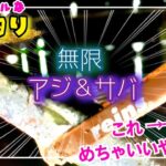 ◆宝石のようなサビキ◆は釣れるのか？深夜の遠投サビキで短時間大漁を目指します。