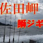 毎年恒例の、豊後水道で青物ジギング