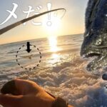 【サーフヒラメ】夕まずめに鮃を掛けるっ…！！巻くだけで釣れるおすすめジグ