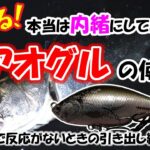 【シーバス釣れる！】本当は内緒にしておきたい♥エアオグルの使い方