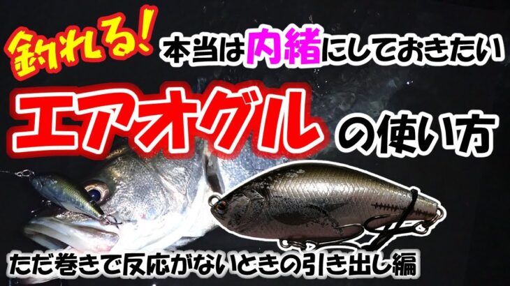 【シーバス釣れる！】本当は内緒にしておきたい♥エアオグルの使い方