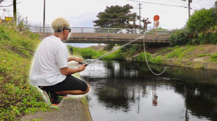 【完全結論】沖縄県にブラックバスはいるのか？？