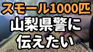 ブラックバス密放流で全国初の被害届提出