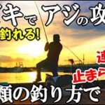 穏やかな港でアジのサビキ釣り！良型のアジを確実に仕留める秘密のエサと２種類のサビキ釣法！上からと下からと両方で攻めると世界が変わる