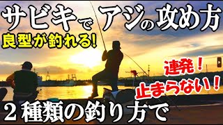 穏やかな港でアジのサビキ釣り！良型のアジを確実に仕留める秘密のエサと２種類のサビキ釣法！上からと下からと両方で攻めると世界が変わる