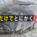 ルアーで釣果をグンと上げる為に覚えるべき釣り方【初心者必見】サーフや堤防で是非お試し下さい