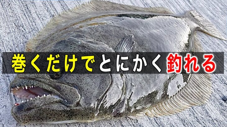 ルアーで釣果をグンと上げる為に覚えるべき釣り方【初心者必見】サーフや堤防で是非お試し下さい