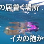 【エギング】なかなか抱かないイカにはこれをやると効果的！アオリイカはこんなところに居着いてます