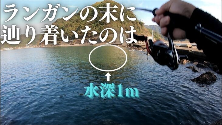 【エギング】諦めムードで最後に浅いシャローに投げてみた結果