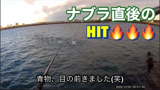 【浜名湖】海釣り公園 ナブラ ボイル 青物 ヒラスズキ シーバス バラシ 激アツ 毎回このタイミングで回遊