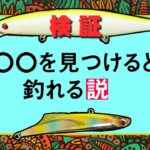 〇〇を見つけると釣れる説！オヌマンのシーバス塾