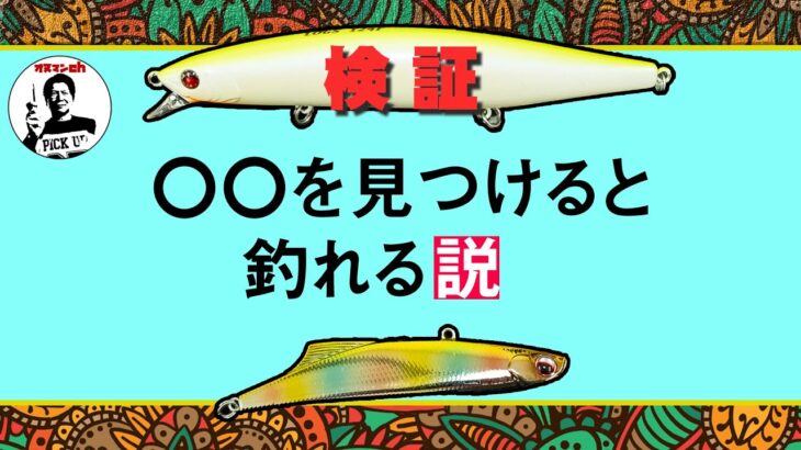 〇〇を見つけると釣れる説！オヌマンのシーバス塾