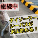 【秋爆、冬爆】ダイソーワームを使って釣りするとシーバスが爆釣します（三重県四日市）