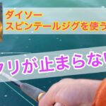 【真冬の海】ダイソースピンテールジグで釣りすると、シーバスのアタリが止まらない！！（三重県四日市）