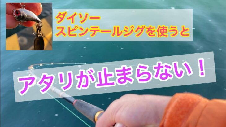 【真冬の海】ダイソースピンテールジグで釣りすると、シーバスのアタリが止まらない！！（三重県四日市）