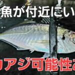 【デカアジ狙い】アジング中にこの魚がいると尺アジがいる可能性が。。