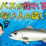 【解説動画】シーバスが釣れる人と釣れない人の違い