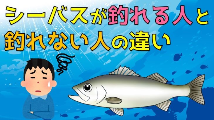 【解説動画】シーバスが釣れる人と釣れない人の違い