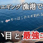 冬イカエギング！漁港でこんな所を狙ってみてください。絶対的おススメの最強エギカラーも紹介