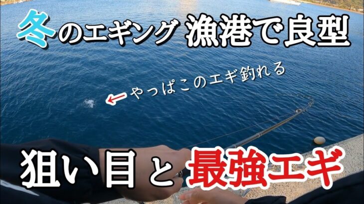 冬イカエギング！漁港でこんな所を狙ってみてください。絶対的おススメの最強エギカラーも紹介