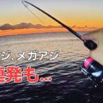 【初冬アジング】朝マズメのデカアジの釣り方。狙うは尺アジオーバー限定！！