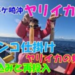 相模湾茅ケ崎沖(エボシ、オネ下)のヤリイカ釣りです。ヤリイカの乗せ方、ブランコ仕掛けの取り込みと再投入の動画です。【ヤリイカ釣り】【ブランコ仕掛け】