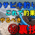 【釣り】それって本当？禁断の裏技で冬サビキでも釣果ＵＰ！気になる噂を検証！ファミリーフィッシング！