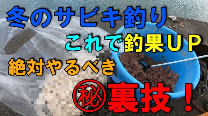 【釣り】それって本当？禁断の裏技で冬サビキでも釣果ＵＰ！気になる噂を検証！ファミリーフィッシング！