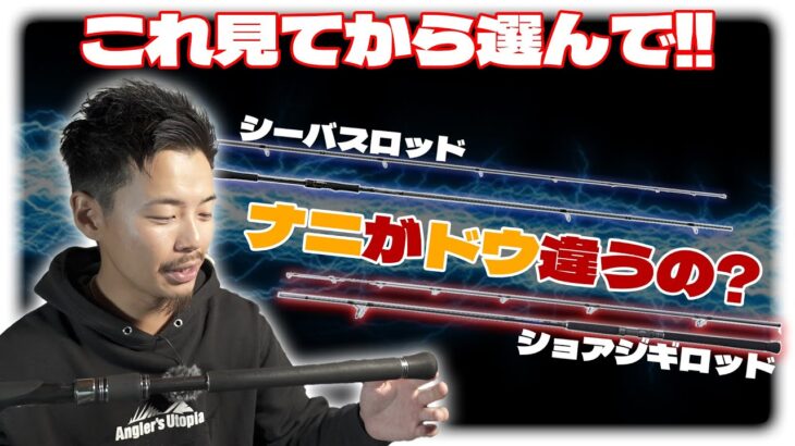 ショアジギングロッドとシーバスロッドの違いと選び方超簡単解説！