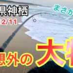 【茨城県神栖サーフ】ヒラメを狙っていたら食べても美味しい予想外の大物を釣ってしまいました