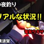 真冬の夜釣り!!電気ウキでサビキ釣り!!東京湾陸っぱり、リアルな状況です！